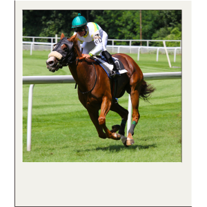 Tris ippiche online