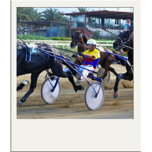 Trotto ippiche online