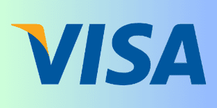 Visa review mini